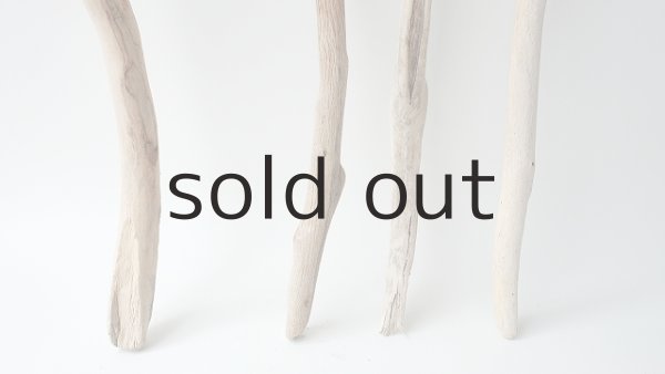 画像2: 小枝流木セット (2)