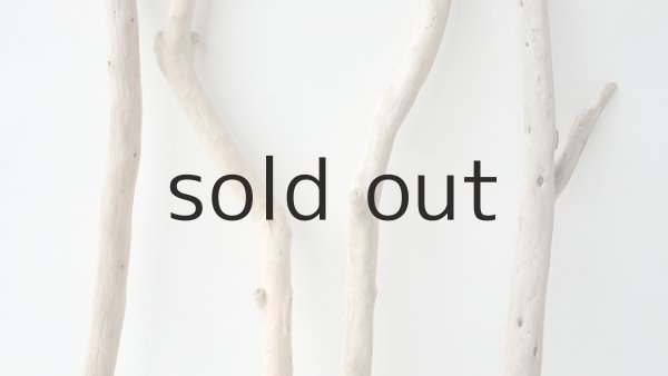 画像3: 小枝流木セット (3)