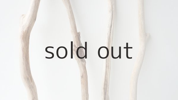 画像3: 小枝流木セット (3)