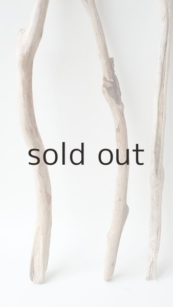 画像5: 小枝流木セット (5)