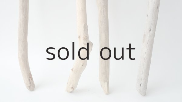 画像2: 小枝流木セット (2)