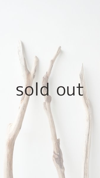 画像7: 小枝流木セット (7)