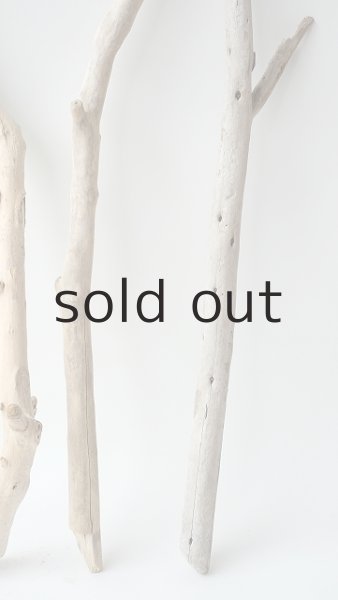 画像6: 小枝流木セット (6)