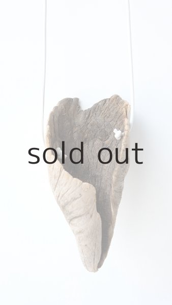 画像3: エアープランツ置き（ハンギングタイプ） by GRAY and GREEN (3)