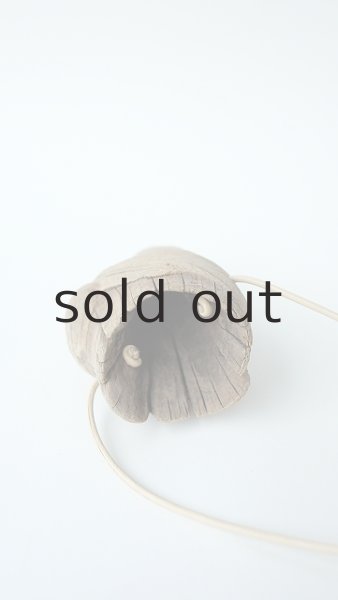 画像5: エアープランツ置き(ハンギングタイプ) by GRAY and GREEN (5)