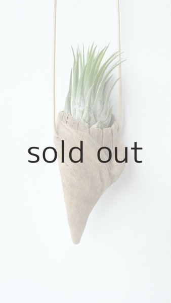 画像2: エアープランツ置き(ハンギングタイプ) by GRAY and GREEN (2)