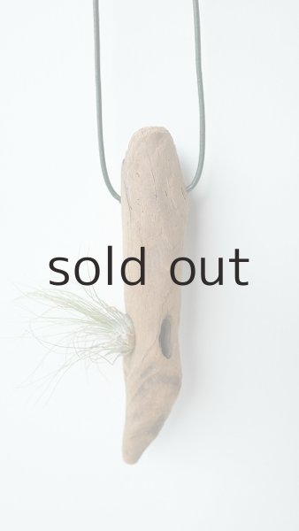 画像3: エアープランツ置き(ハンギングタイプ) by GRAY and GREEN (3)