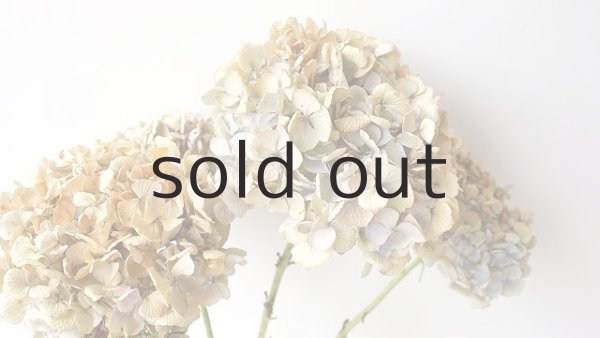 画像2: Dry plants for decor デコール用乾燥紫陽花（アキイロアジサイ・小3本セット）2016開花分 (2)