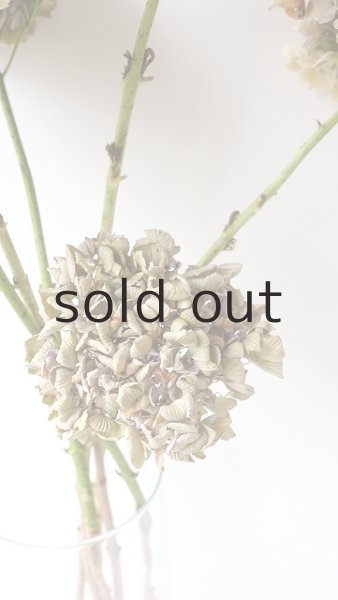 画像3: Dry plants for decor デコール用乾燥紫陽花（アキイロアジサイ・小3本セット）2016開花分 (3)