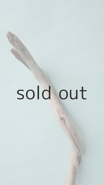 画像4: 枝流木 (4)