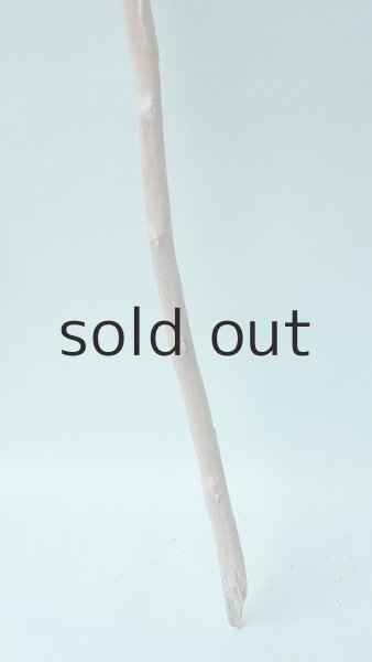 画像2: 枝流木 (2)