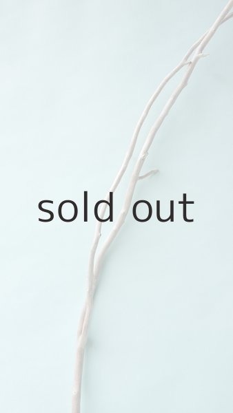 画像4: 枝流木 (4)