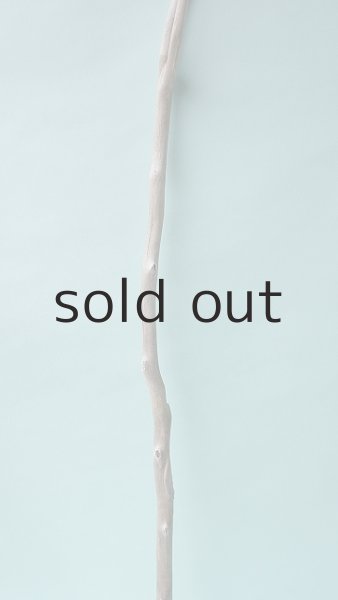 画像3: 枝流木 (3)