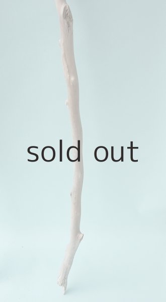 画像6: 枝流木 (6)