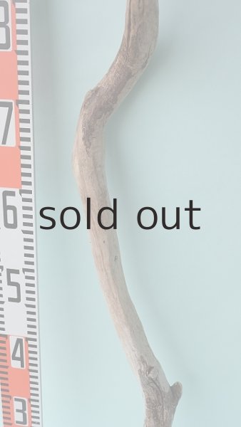 画像6: 枝流木 (6)