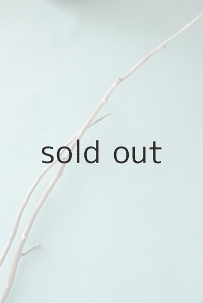 画像5: 枝流木 (5)