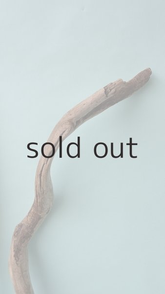 画像7: 枝流木 (7)