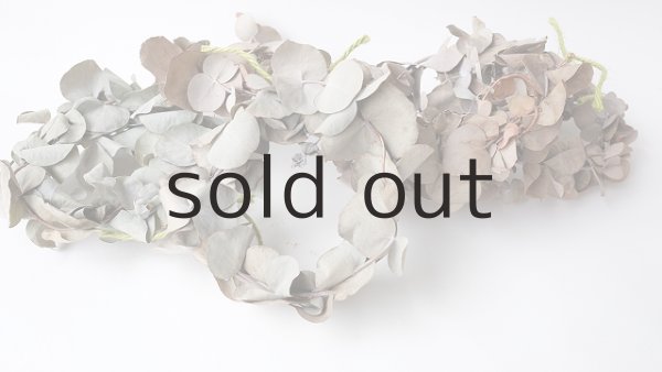 画像2: Dry plants for decor ユーカリミニリース（銀丸葉）色あせにつき＊outlet＊ (2)