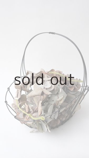 画像3: Dry plants for decor ユーカリミニリース（銀丸葉）色あせにつき＊outlet＊ (3)