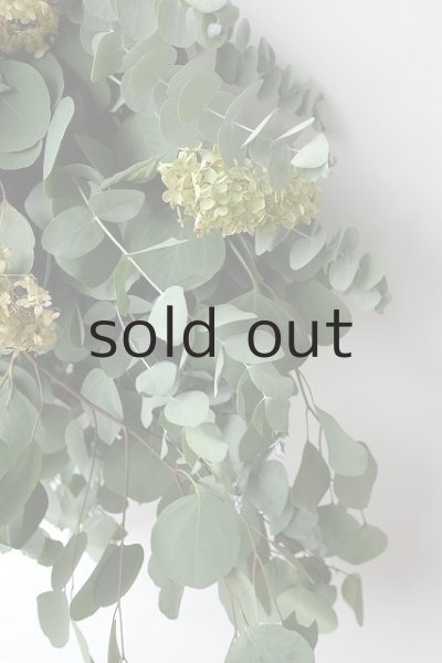 画像4: Dry plants for decor ユーカリ2種・ロングスワッグ (4)