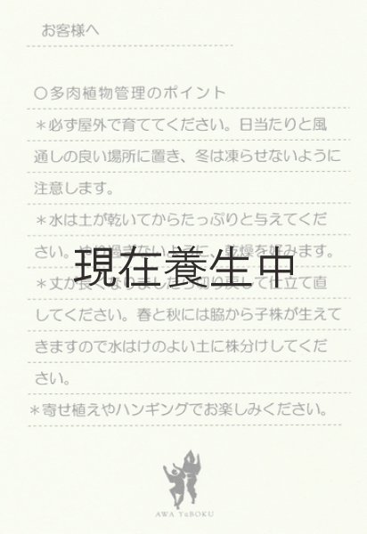 管理のポイントを記載したカードをお付けいたします。