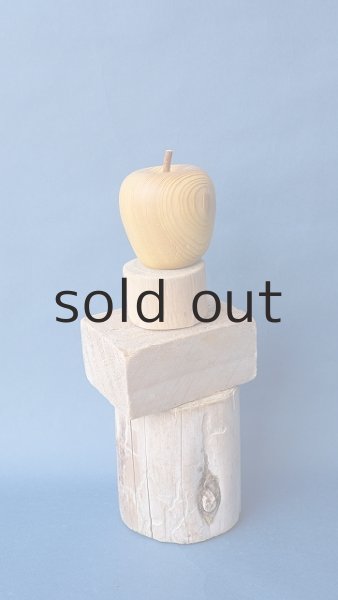 画像2: 板流木セット (2)