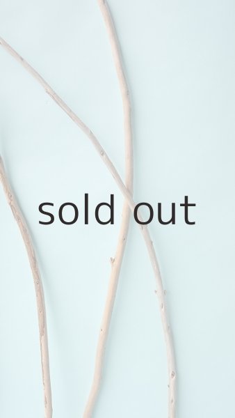 画像4: 棒流木セット (4)