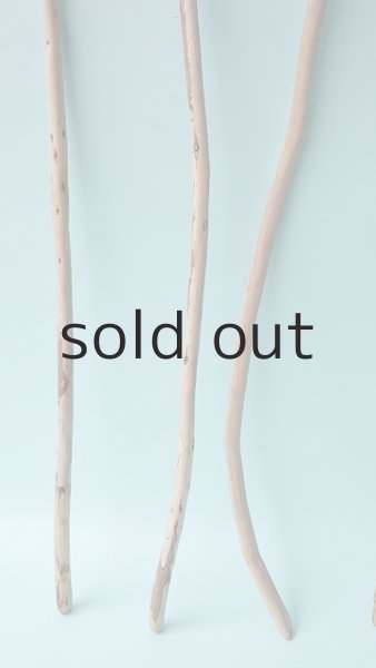 画像2: 棒流木セット (2)