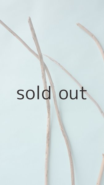 画像5: 棒流木セット (5)