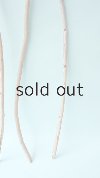 画像3: 棒流木セット (3)