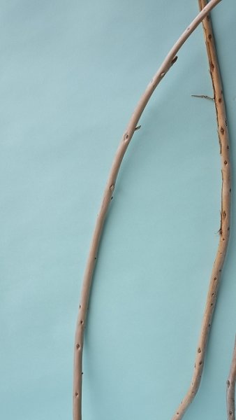 画像4: 棒流木セット (4)