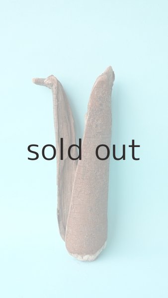 画像2: 変形流木 (2)