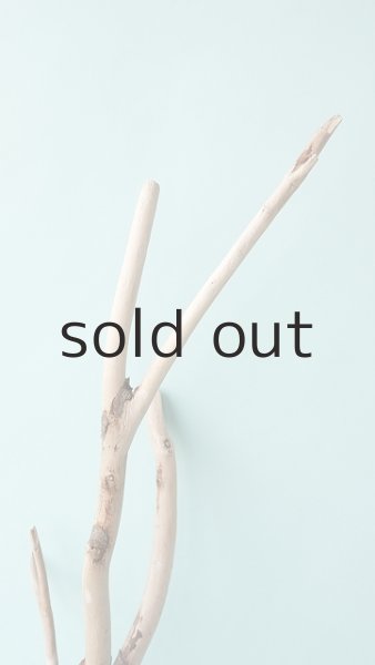 画像4: 枝流木 (4)