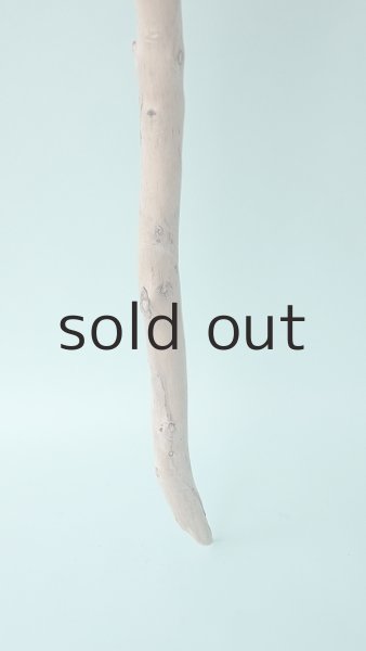 画像2: 枝流木 (2)