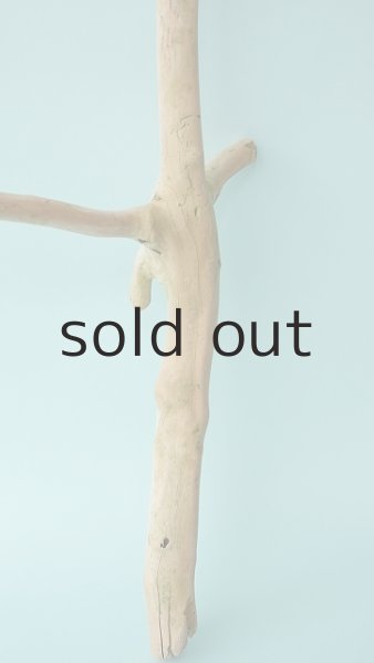 画像2: 枝流木 (2)