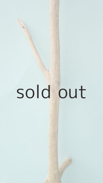 画像3: 枝流木 (3)