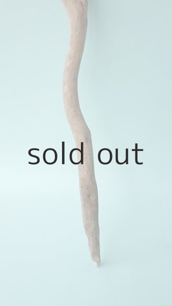 画像2: 枝流木 (2)