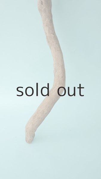 画像2: 枝流木 (2)