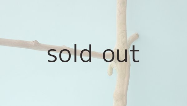 画像6: 枝流木 (6)