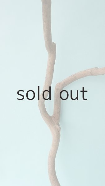 画像3: 枝流木 (3)