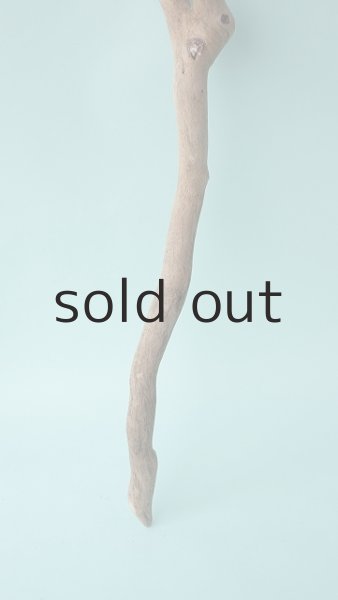 画像6: 枝流木 (6)