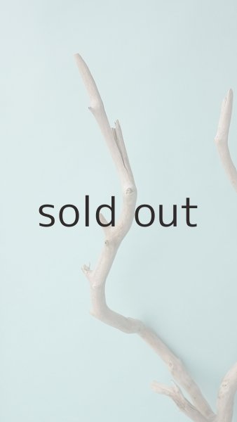 画像4: 枝流木 (4)