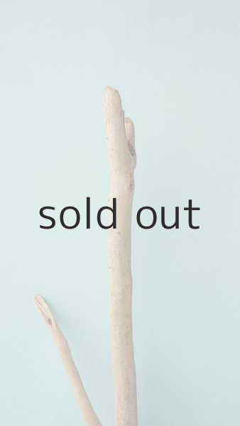 画像4: 枝流木 (4)