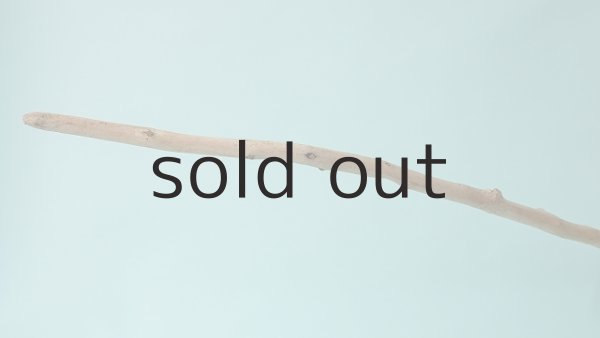 画像5: 枝流木 (5)