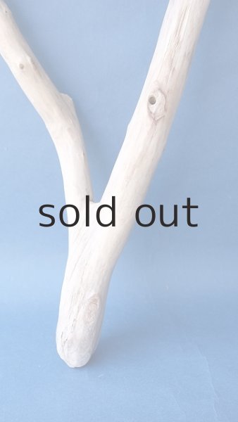 画像2: 小枝流木 (2)