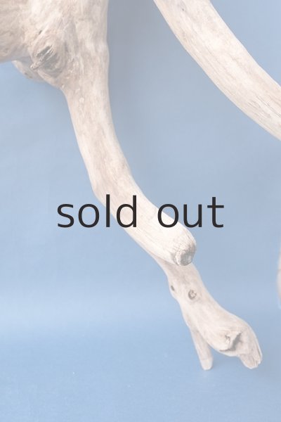 画像4: 大型 根 (4)