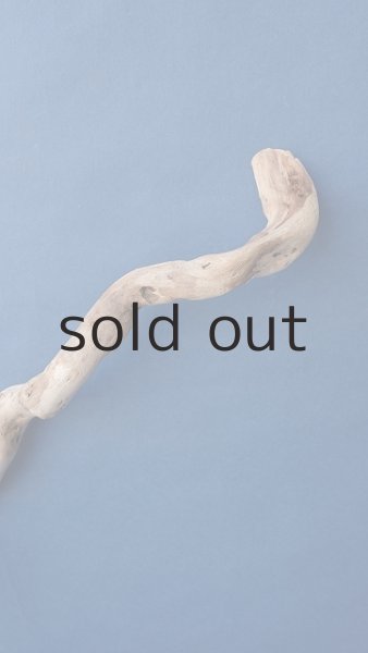 画像4: 流木根 (4)