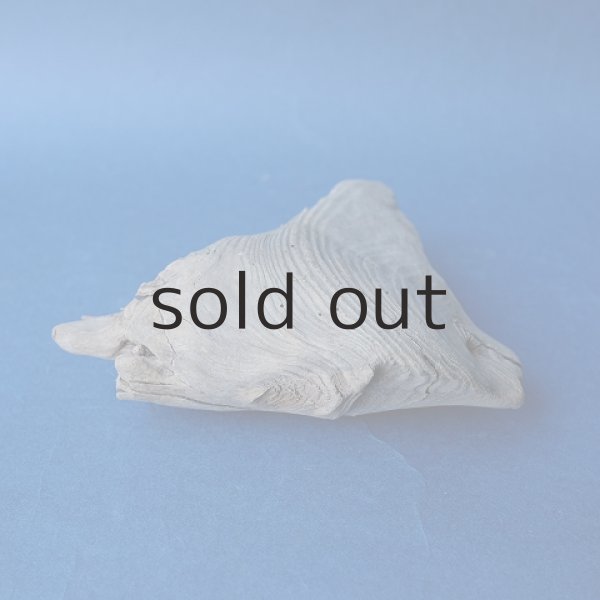 画像3: 変形流木 (3)