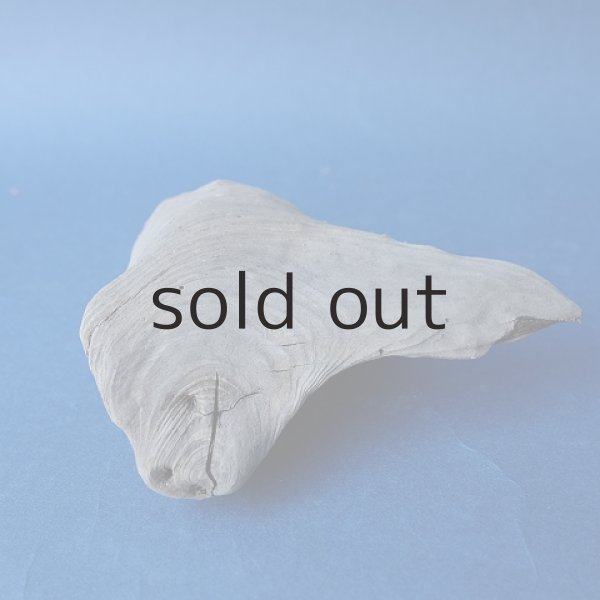 画像4: 変形流木 (4)