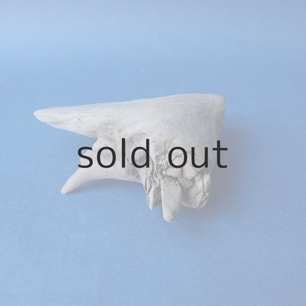 画像2: 変形流木 (2)